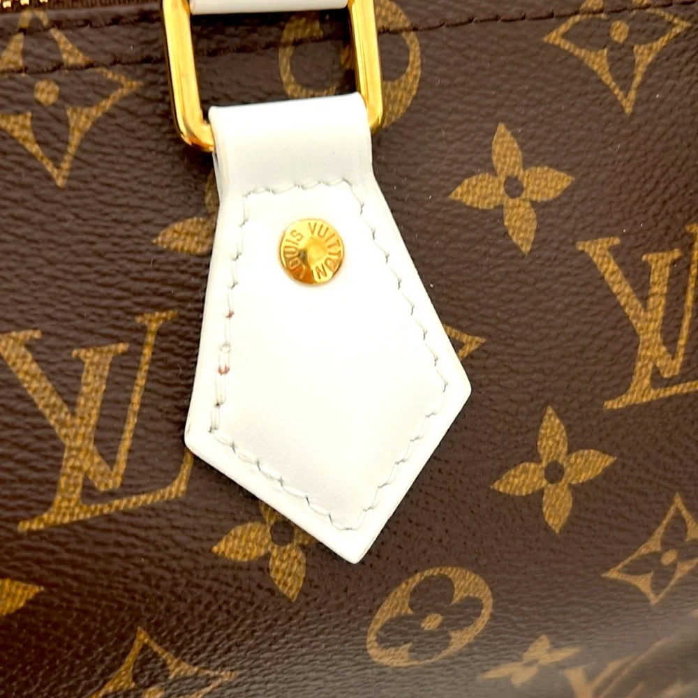 Louis Vuitton Brown and White Satchel - Picture 14 of 15